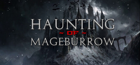魔法堡幽灵/Haunting of Mageburrow