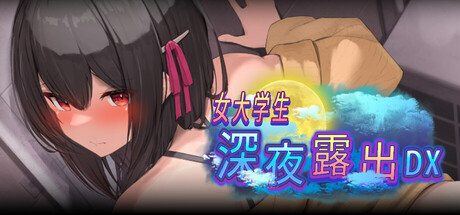 女大学生深夜露出 DX/Midnight Exhibitionist DX Edition